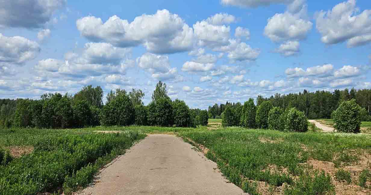 Фото 3 поселок Ассаурово